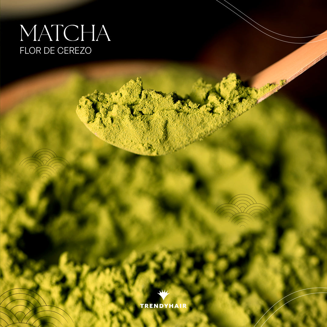 Matcha Blossom Shampoo