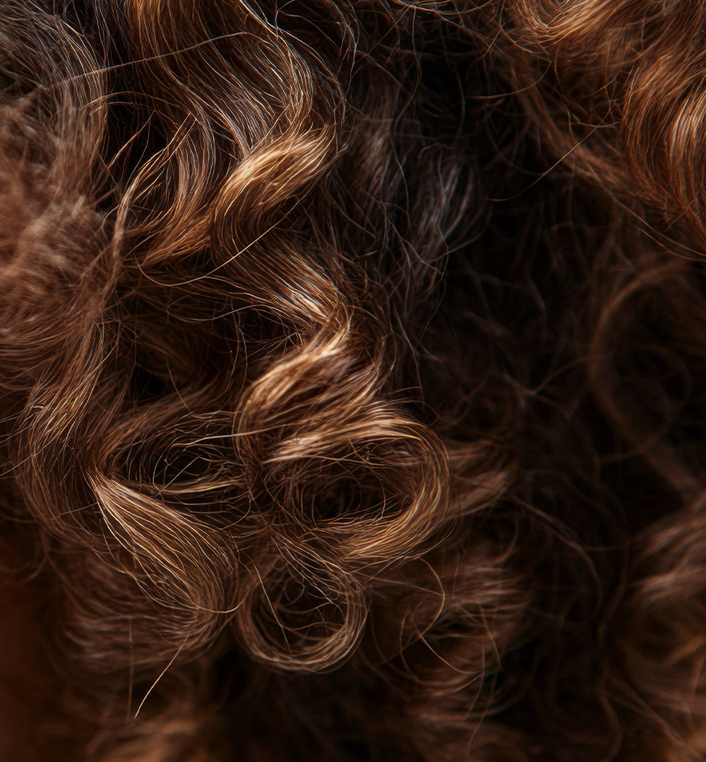 Tratamientos capilares para el cabello rizado seco y maltratado