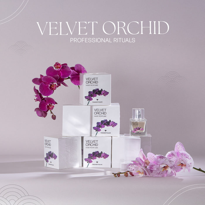 VELVET ORCHID