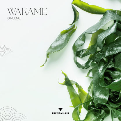 Wakame Elastic Serum 30ml