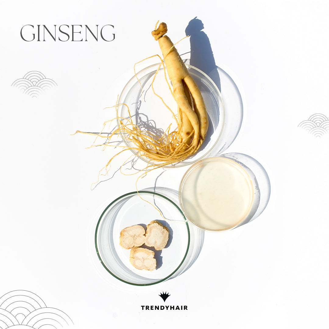 Champú Elastic 300ml