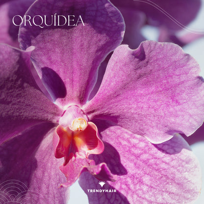 Velvet Orchid - Perfume capilar  50ml